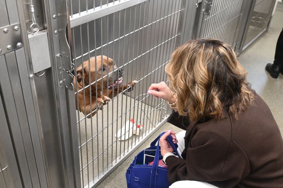 HumanSocietyTour (8).JPG